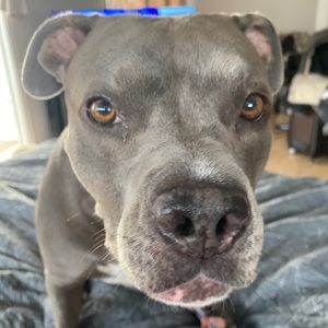 Meet your Posher, Kami